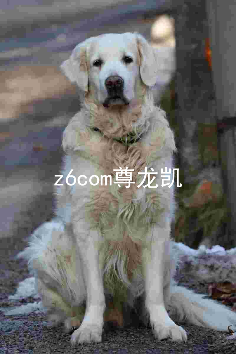 z6com尊龙凯