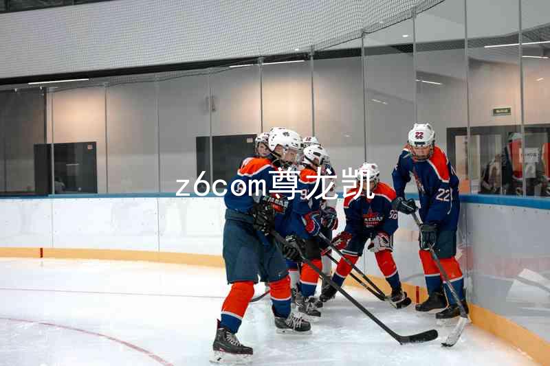 z6com尊龙凯